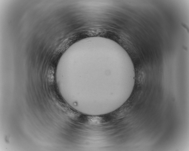 X0000102460226200808291549