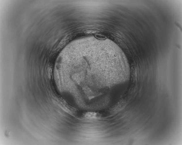 X0000102460227200808291549