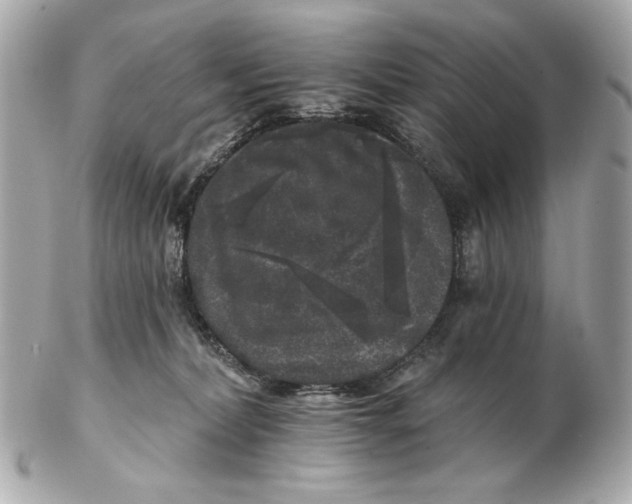 X0000102460228200808291549