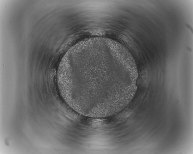 X0000102460229200808291549