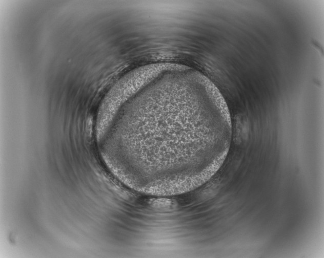 X0000102460230200808291549