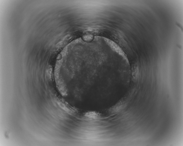 X0000102460231200808291549