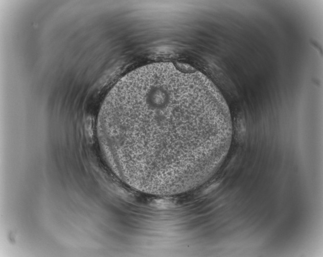 X0000102460232200808291549