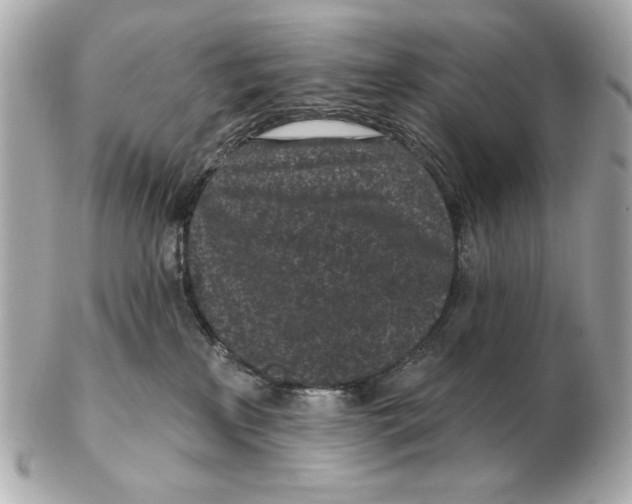 X0000102460233200808291549