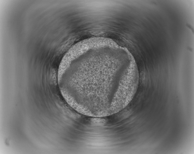 X0000102460234200808291549