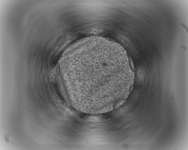 X0000102460236200808291549