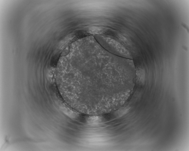 X0000102460237200808291549