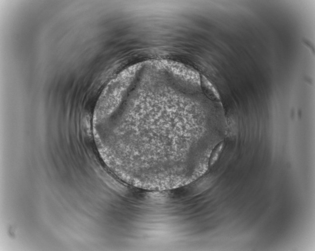 X0000102460238200808291549