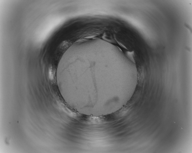 X0000102460239200808291549