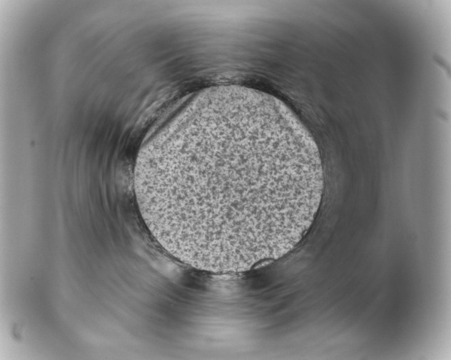 X0000102460240200808291549