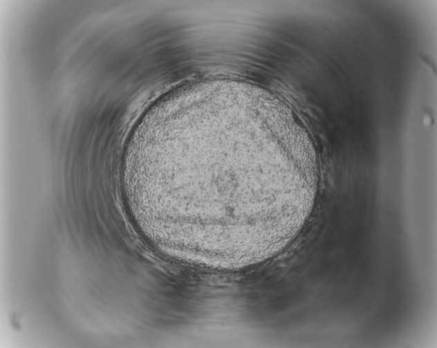X0000102460241200808291548