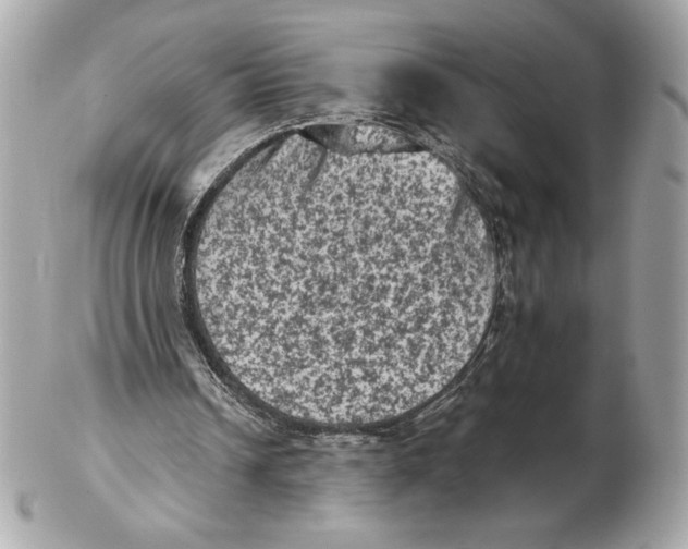 X0000102460242200808291548