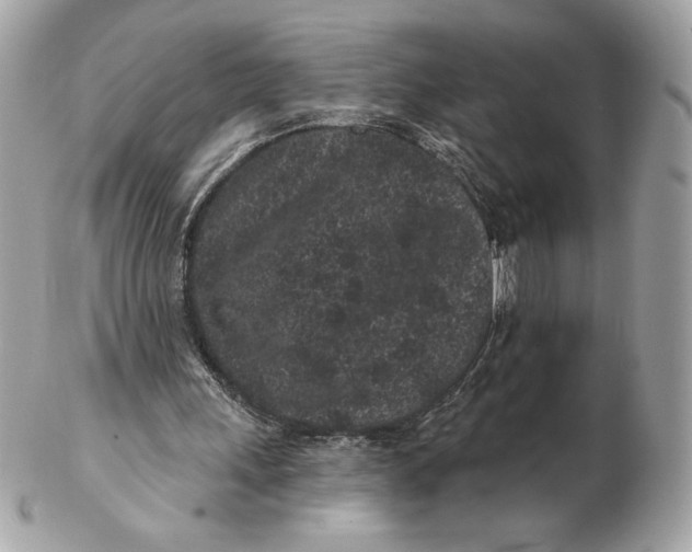 X0000102460243200808291548