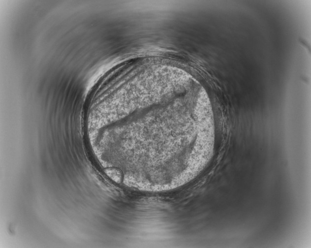 X0000102460244200808291548