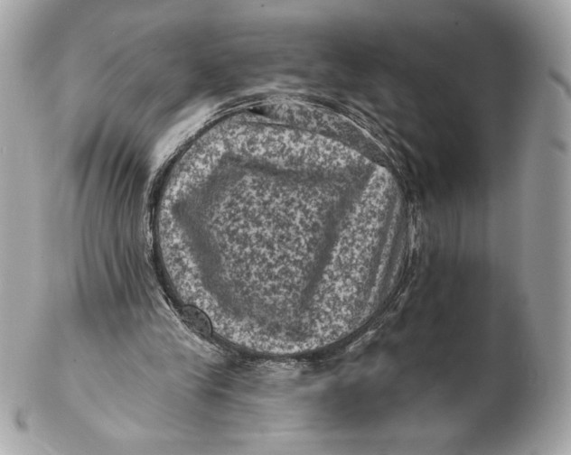X0000102460245200808291548