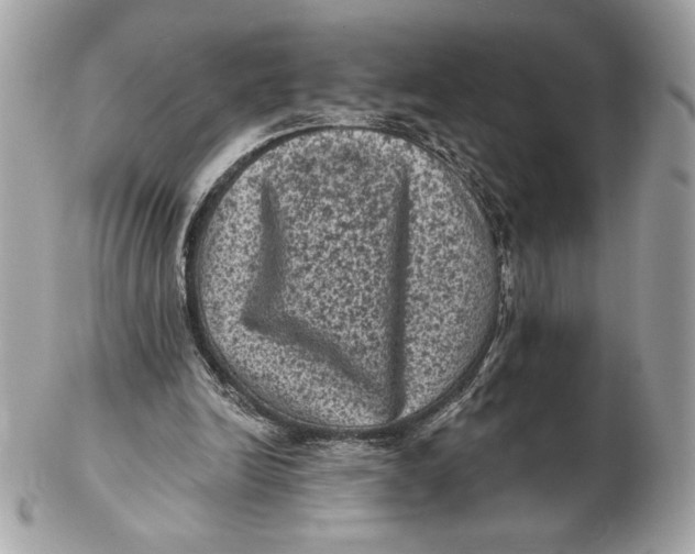 X0000102460246200808291548