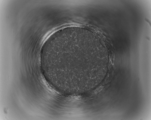 X0000102460247200808291548