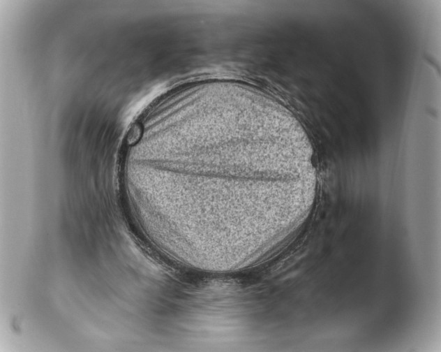 X0000102460248200808291548