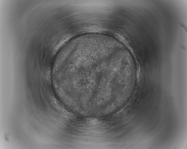 X0000102460249200808291548
