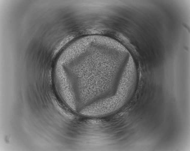 X0000102460250200808291548