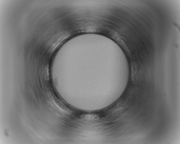 X0000102460251200808291548