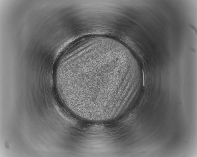 X0000102460252200808291548