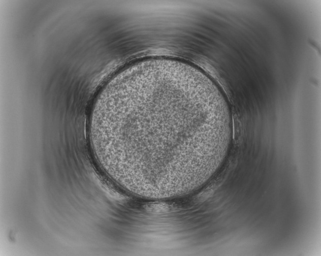 X0000102460253200808291548