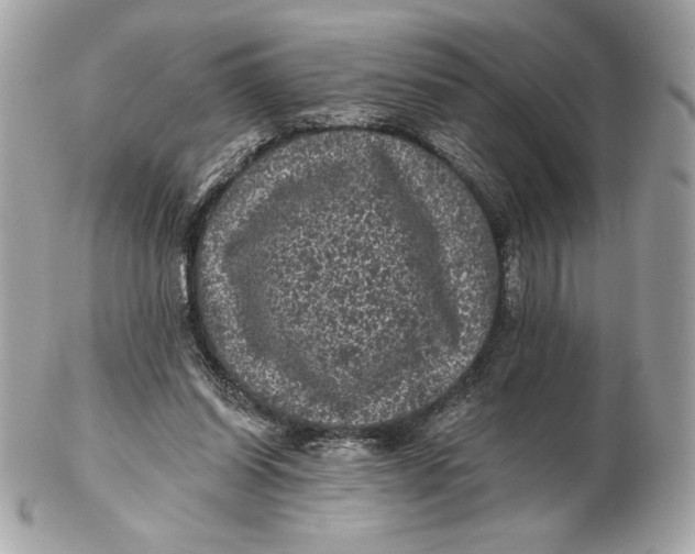 X0000102460254200808291548