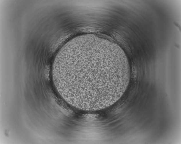X0000102460255200808291548