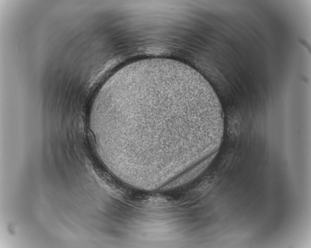 X0000102460256200808291548