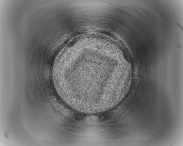 X0000102460257200808291548