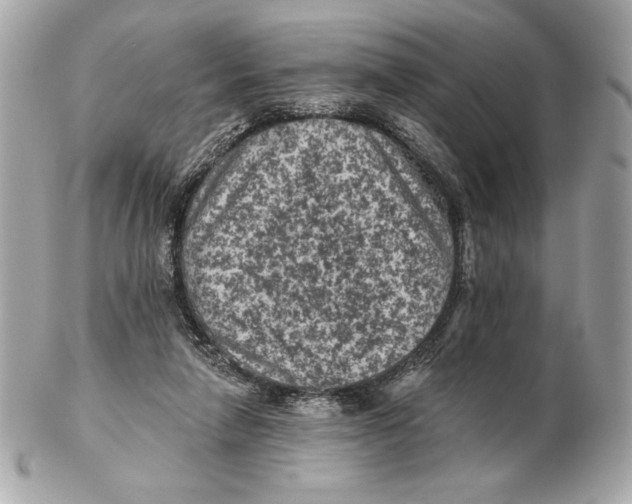 X0000102460258200808291548