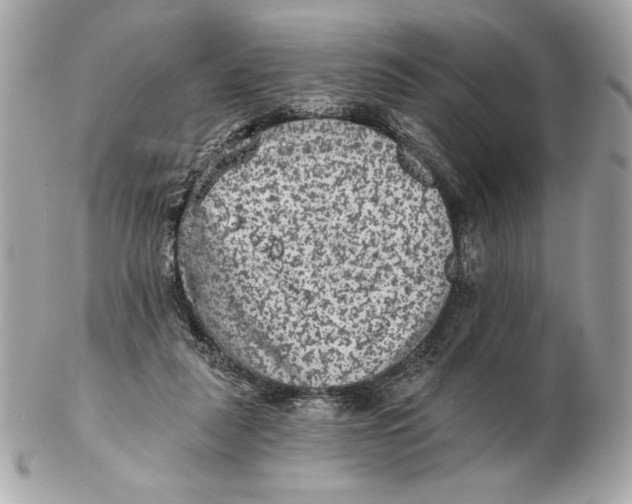 X0000102460259200808291548