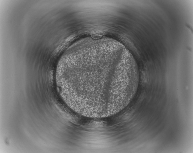 X0000102460260200808291548