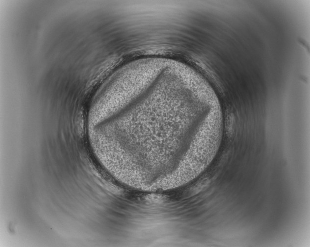 X0000102460261200808291548