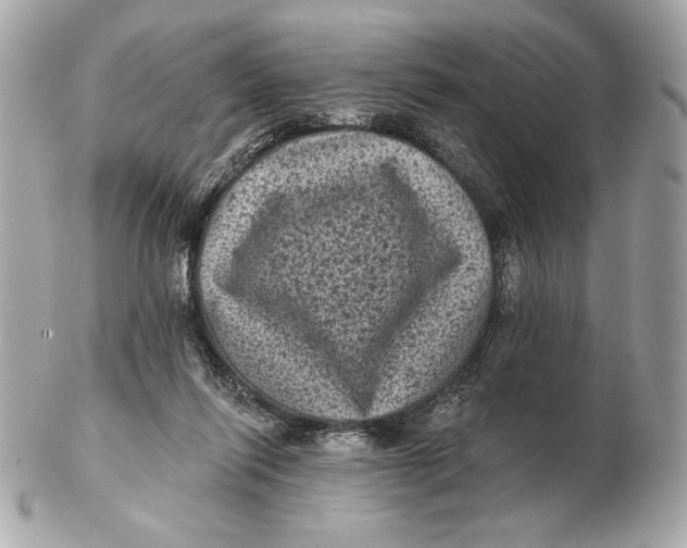 X0000102460262200808291548
