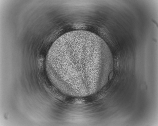 X0000102460263200808291548