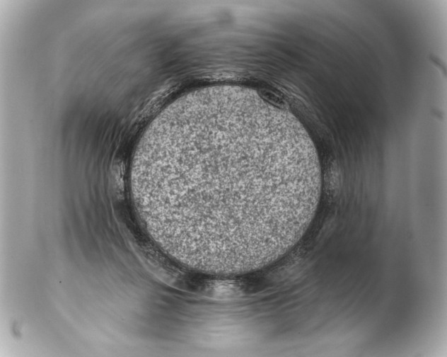 X0000102460264200808291548