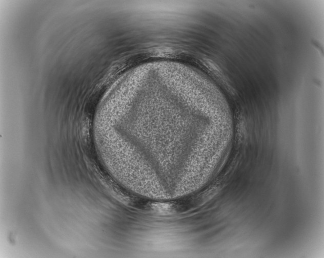 X0000102460265200808291548