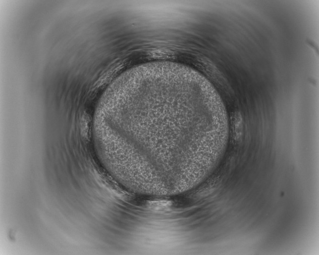 X0000102460266200808291548