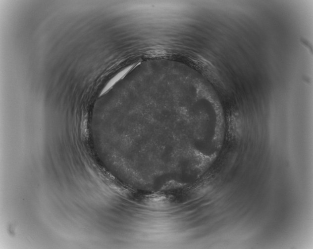 X0000102460267200808291548