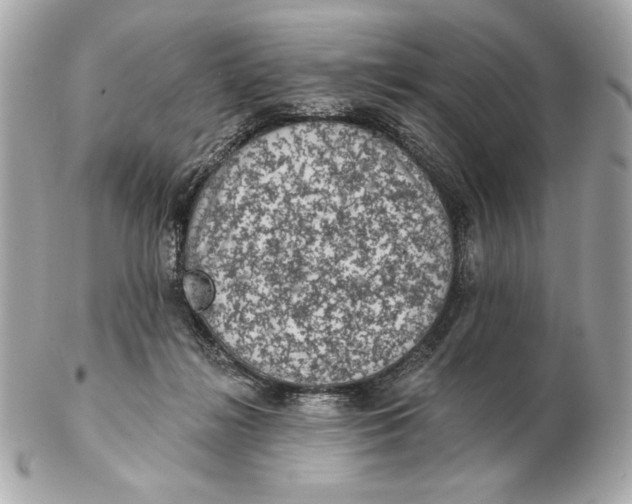 X0000102460268200808291548