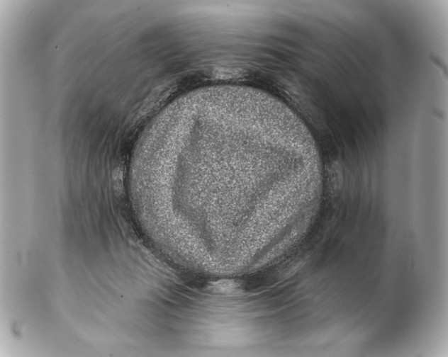 X0000102460269200808291548