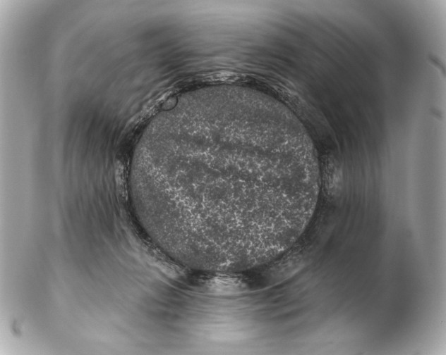 X0000102460270200808291548