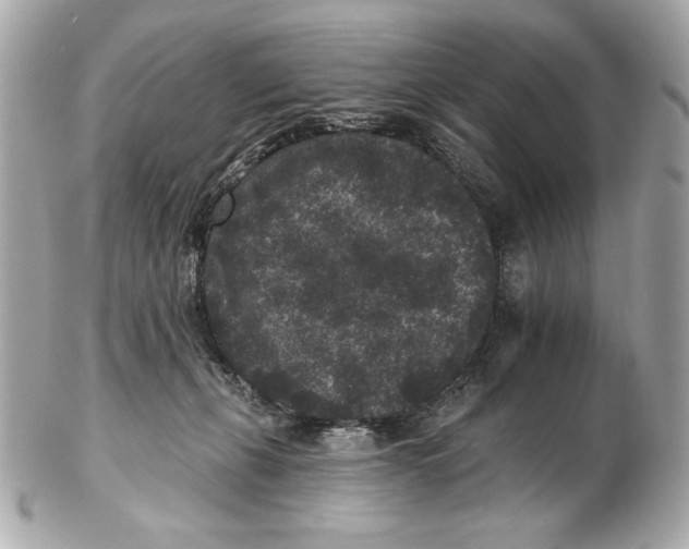 X0000102460271200808291548