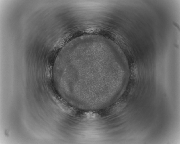 X0000102460272200808291548
