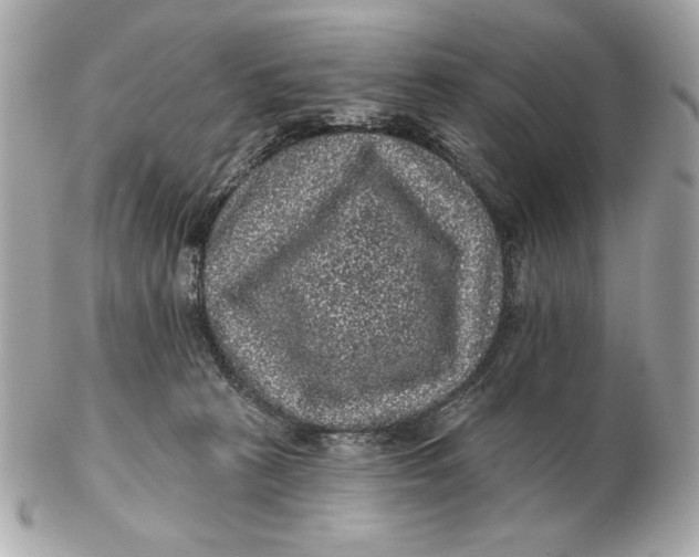 X0000102460273200808291548