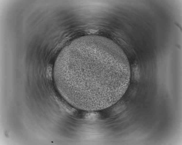 X0000102460274200808291548