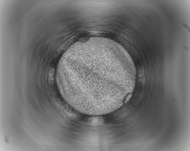 X0000102460275200808291548