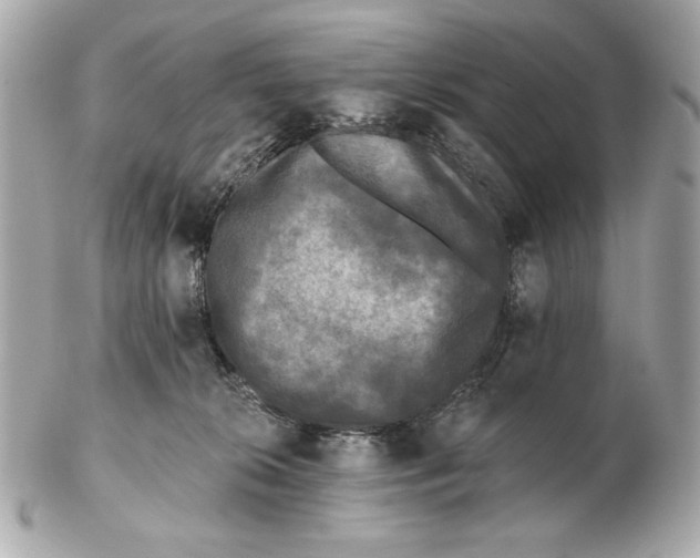 X0000102460276200808291548